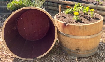 Crocker & Starr 1/2 Barrel Planter 1